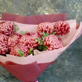 Букет из 9 бордовых хризантем Бигуди 