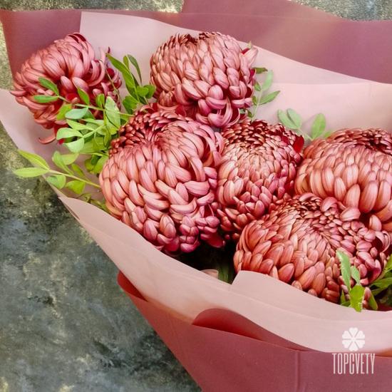 Букет из 9 бордовых хризантем Бигуди 