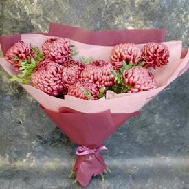 Букет из 9 бордовых хризантем Бигуди 