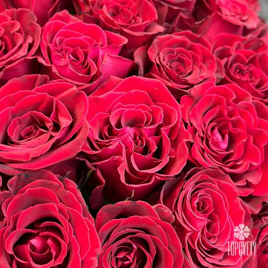 Букет из 101 красной розы в корзине