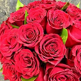 Композиция из 35 красных роз в коробке