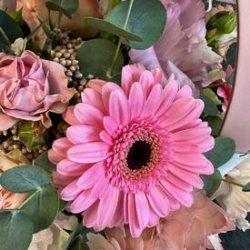 Композиция из гербер, гортензии и гвоздик в сумке