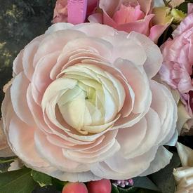 Букет из ранункулюса, кустовой розы и гвоздик в ящике 