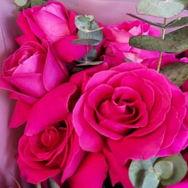 Букет из 11 розовых роз Пинк Флойд 70см