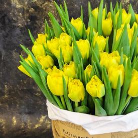 Букет из 51 желтого пионовидного тюльпана в шляпной коробке