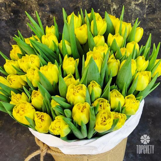 Букет из 51 желтого пионовидного тюльпана в шляпной коробке