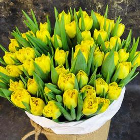 Букет из 51 желтого пионовидного тюльпана в шляпной коробке