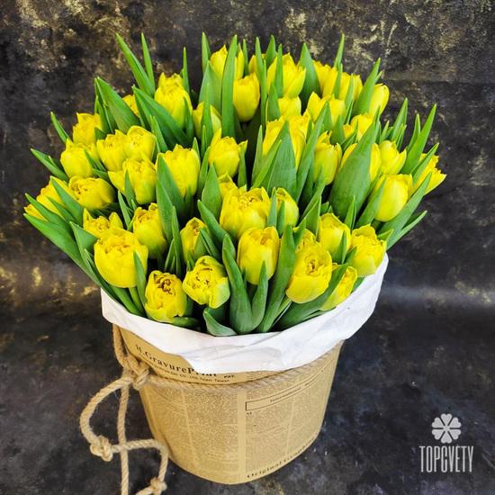 Букет из 51 желтого пионовидного тюльпана в шляпной коробке