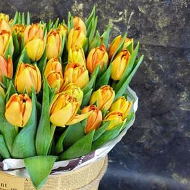 Букет из 51 оранжевого пионовидного тюльпана в шляпной коробке 