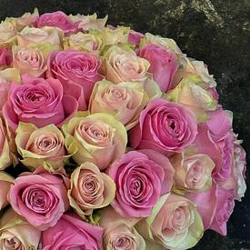 Композиция из 75 розовых роз микс в коробке