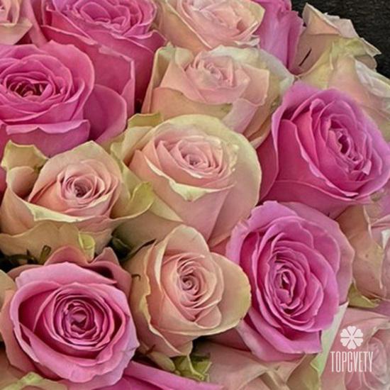 Композиция из 75 розовых роз микс в коробке