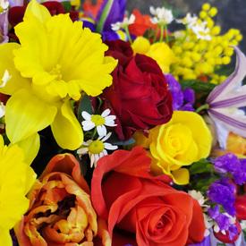 Букет из роз,  тюльпанов, нарциссов и ирисов в коробке 