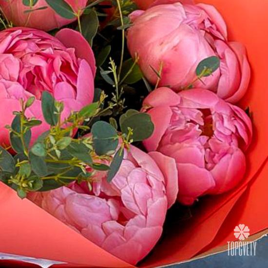 Букет из 9 розовых пионов