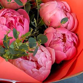 Букет из 9 розовых пионов