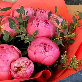 Букет из 9 розовых пионов