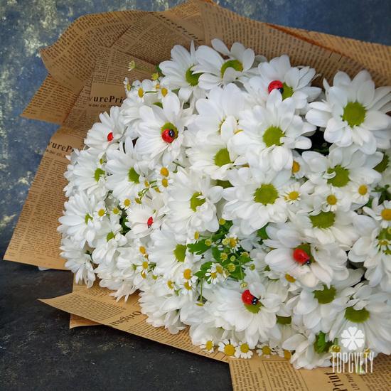 Букет из 11 белых кустовых хризантем