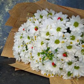 Букет из 11 белых кустовых хризантем