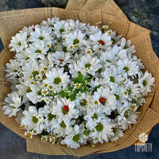 Букет из 11 белых кустовых хризантем