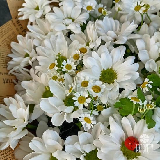 Букет из 11 белых кустовых хризантем