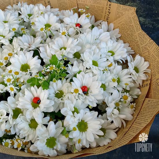 Букет из 11 белых кустовых хризантем