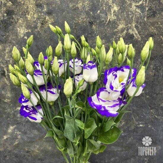 Букет из 7 сиреневых эустом 