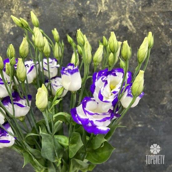 Букет из 7 сиреневых эустом 