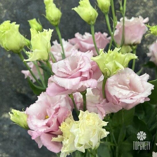 Букет из 7 розовых эустом 