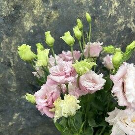 Букет из 7 розовых эустом 