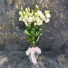 Букет из 7 белых эустом