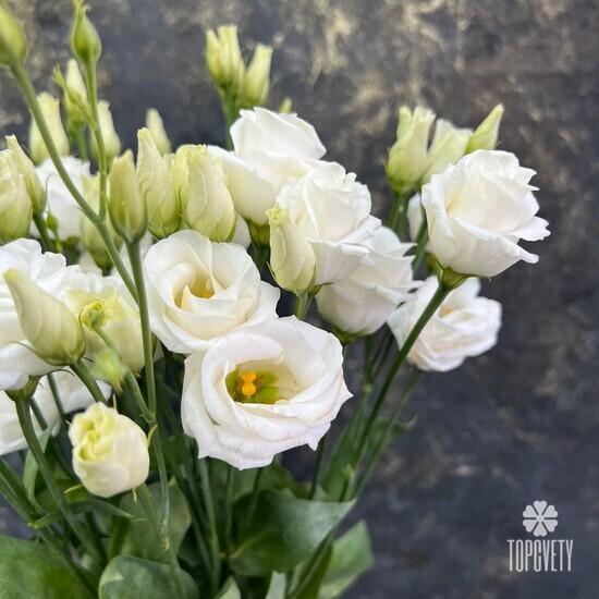 Букет из 7 белых эустом