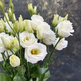 Букет из 7 белых эустом