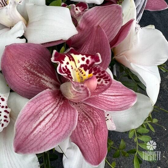 Букет из 15 розовых и белых орхидей в корзине