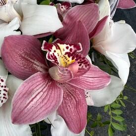 Букет из 15 розовых и белых орхидей в корзине