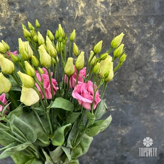 Букет из 15 розовых эустом