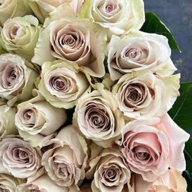Букет из 51 кремовой розы Квиксенд  50см