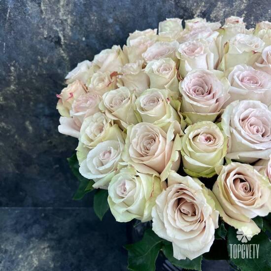 Букет из 51 кремовой розы Квиксенд  50см