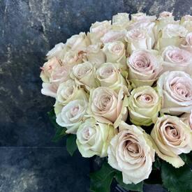 Букет из 51 кремовой розы Квиксенд  50см