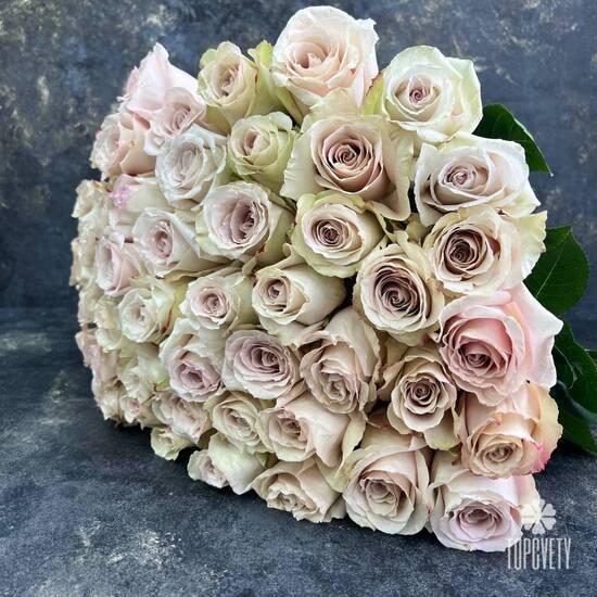 Букет из 51 кремовой розы Квиксенд  50см