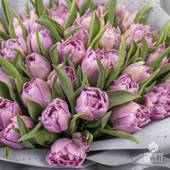 Букет из 45 пионовидных розовых тюльпанов