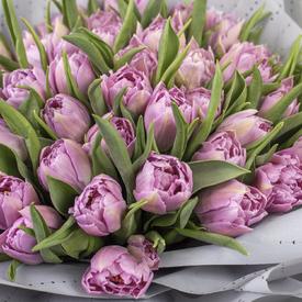 Букет из 45 пионовидных розовых тюльпанов
