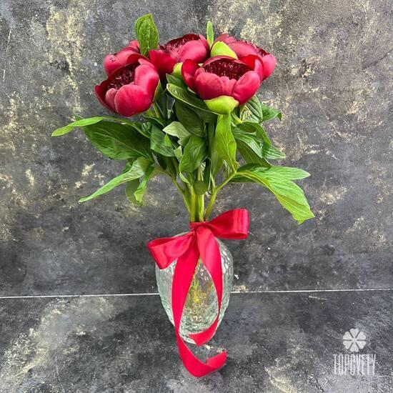 Букет из 5 бордовых пионов