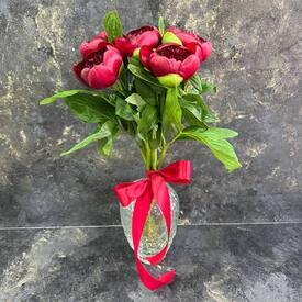 Букет из 5 бордовых пионов