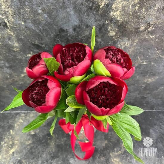 Букет из 5 бордовых пионов