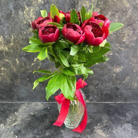 Букет из 7 бордовых пионов 