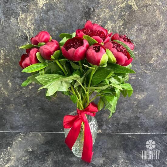 Букет из 9 бордовых пионов 