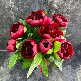 Букет из 9 бордовых пионов 