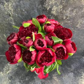 Букет из 15 бордовых пионов 