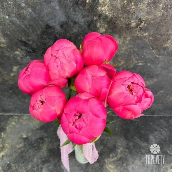 Букет из 7 розовых пионов