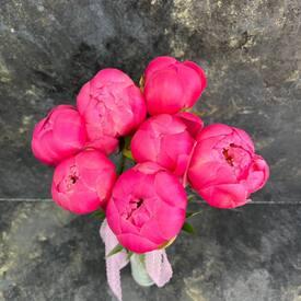 Букет из 7 розовых пионов