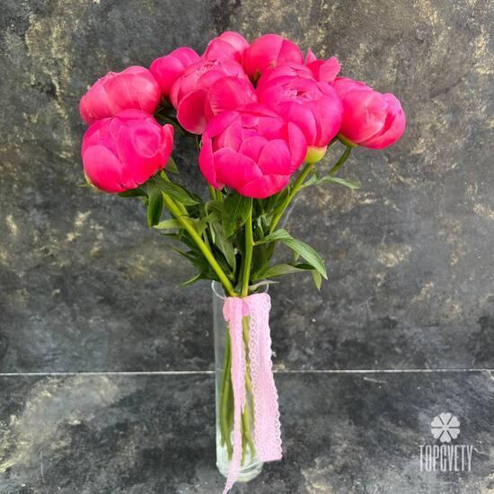 Букет из 9 розовых пионов 